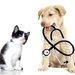 Star Vet - clinica veterinara